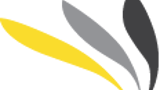 Fivelstreek Favicon