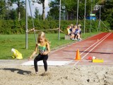 Onder aan Diek avfivelstreek.nl