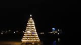 Kerstboom.